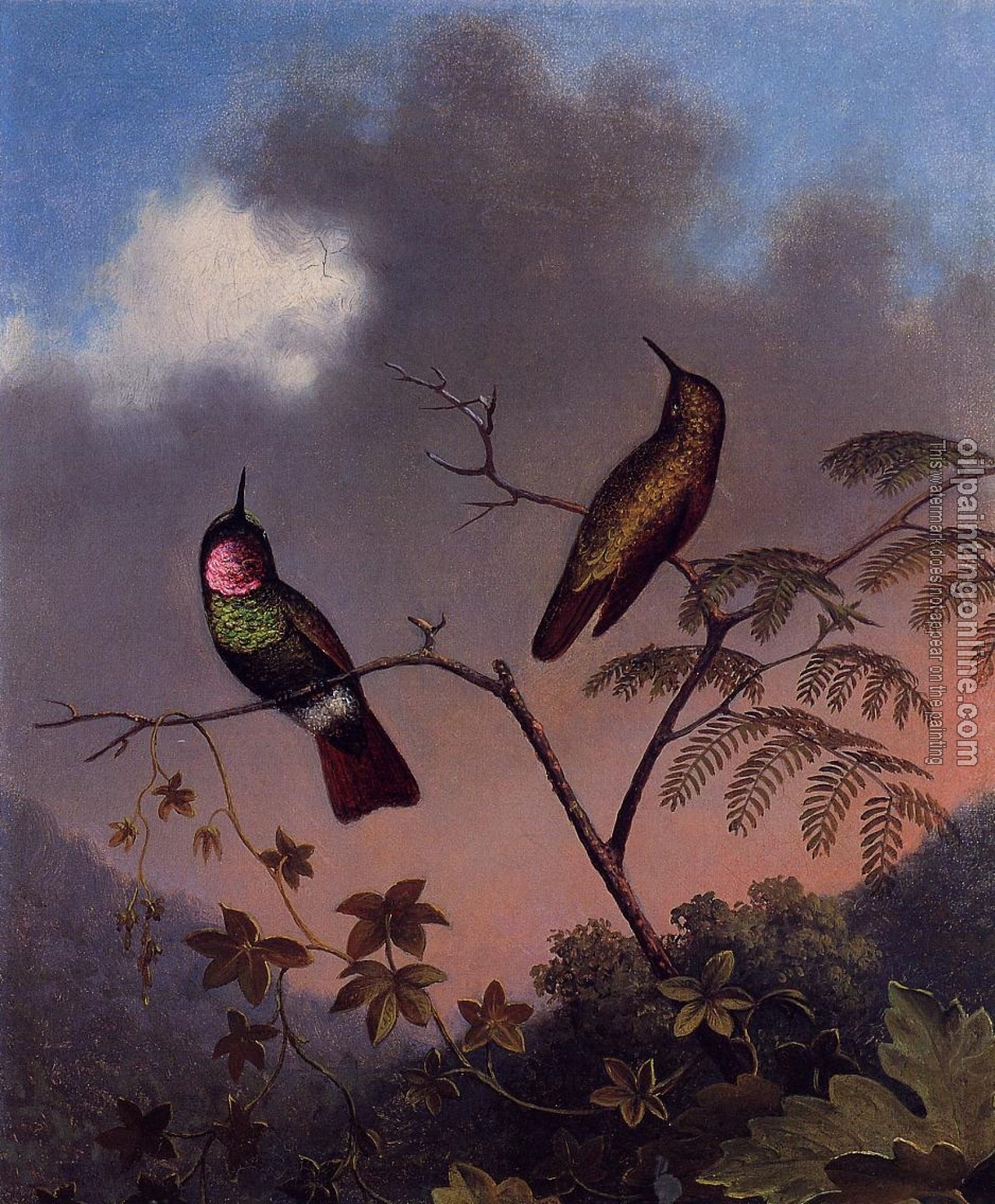 Heade, Martin Johnson - Brazilian Ruby Hummingbirds
